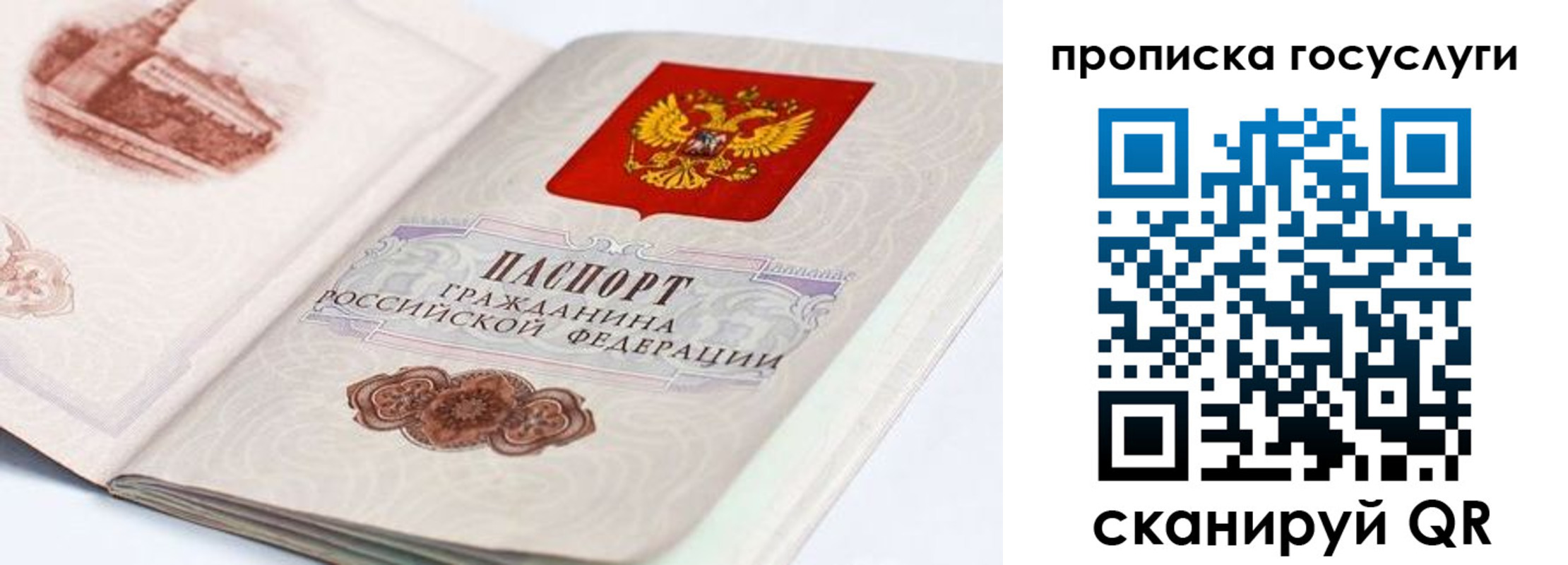 прописка регистрация в Новомосковске